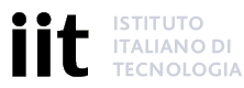 Istituto Italiano di Tecnologia (IIT), Genoa